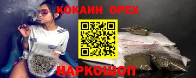 крисы Гатчина