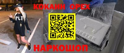 крисы Гатчина