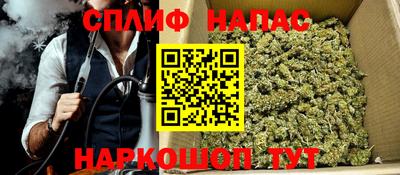 крисы Гатчина