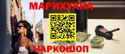 крисы Гатчина