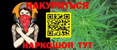 крисы Гатчина