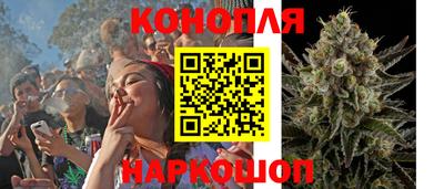 крисы Гатчина