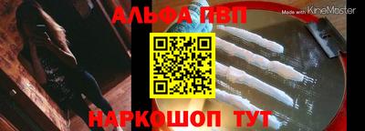 крисы Гатчина