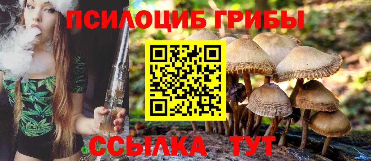 Псилоцибиновые грибы Cubensis  Вход с VPN  Городец 