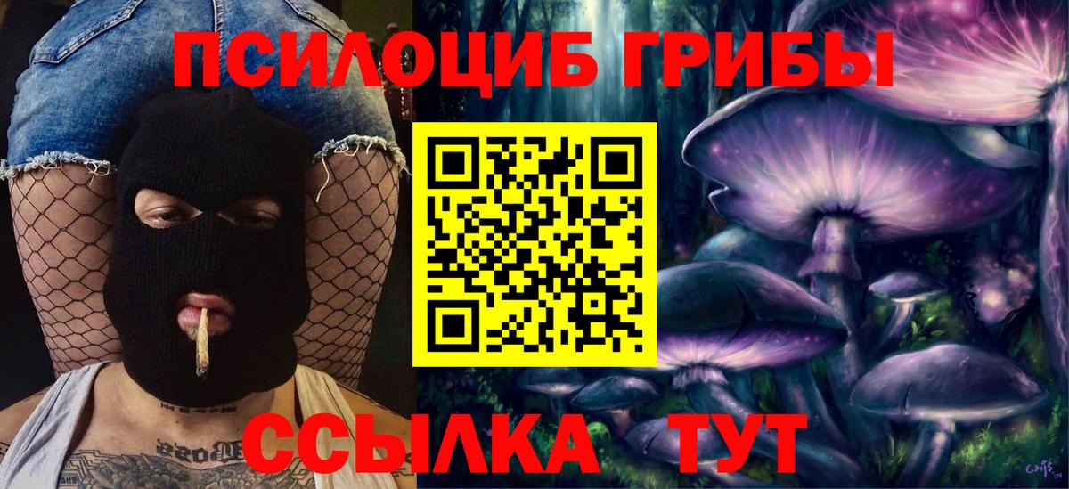 Галлюциногенные грибы прущие грибы Городец