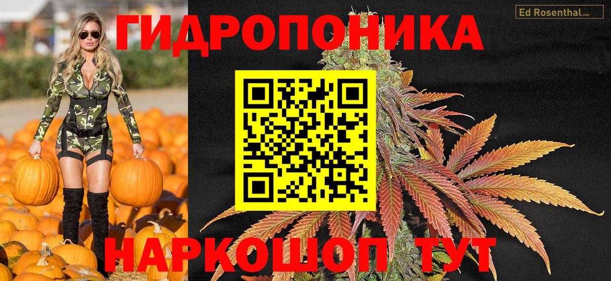 Городец  Шишки марихуана тримм  Вход с VPN  Шишки марихуана конопля  Бошки Шишки марихуана 